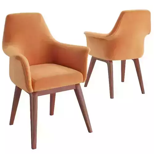 Viva wood Armchair 3D model