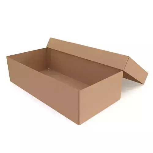 Cardboard box 09