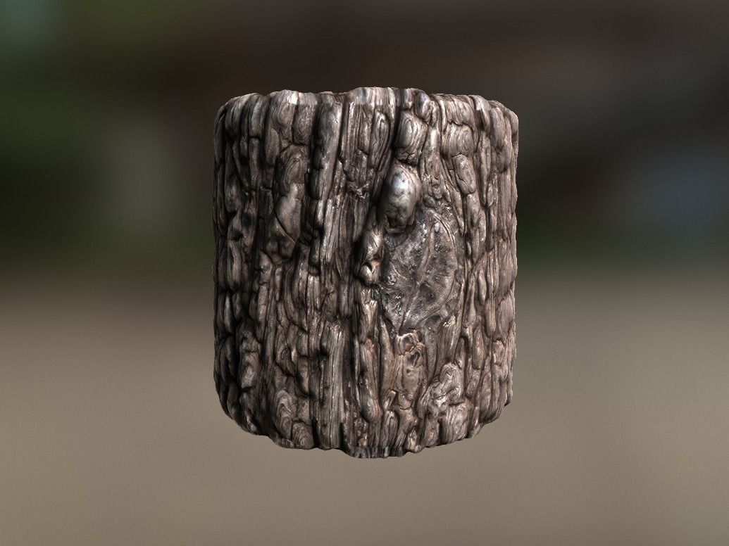 10 Seamless tree bark textures Texture_1