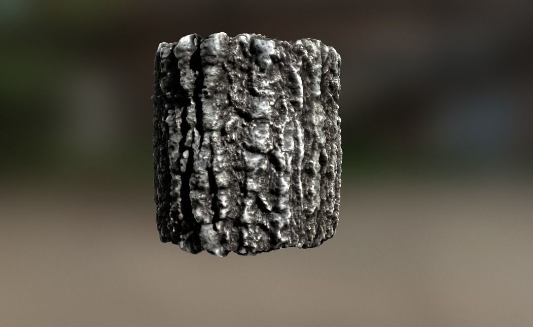 10 Seamless tree bark textures Texture_9