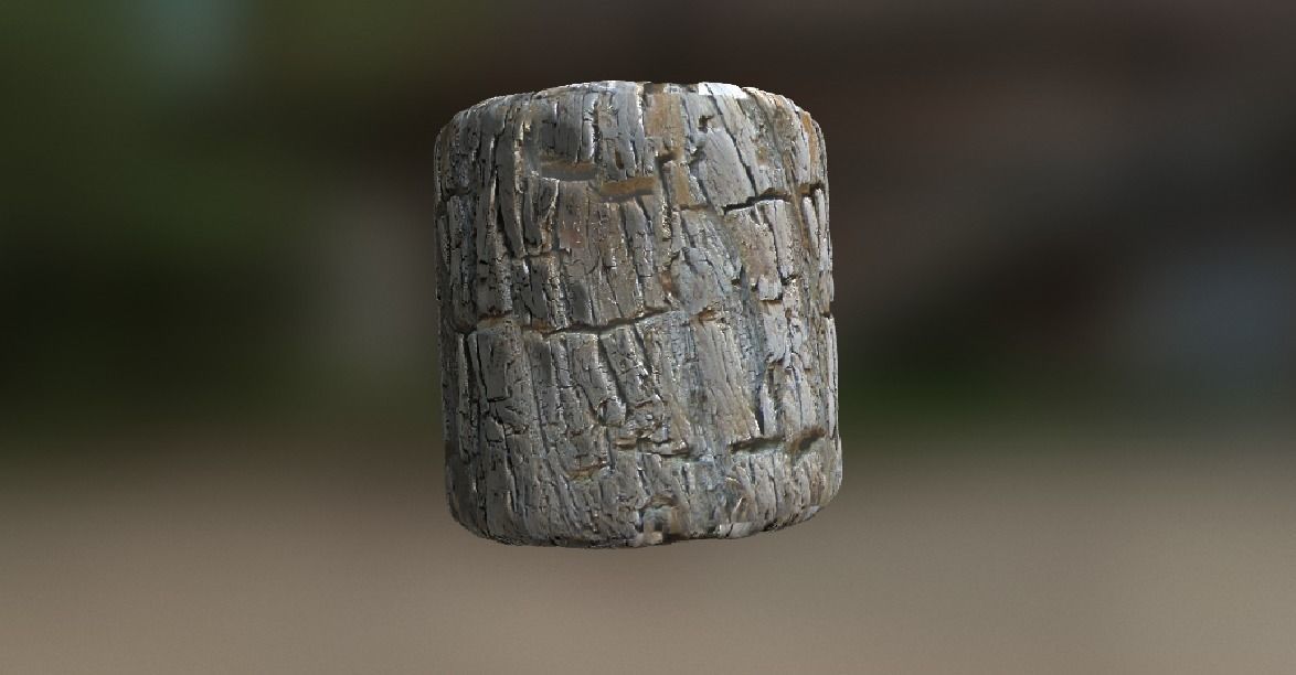 10 Seamless tree bark textures Texture_6