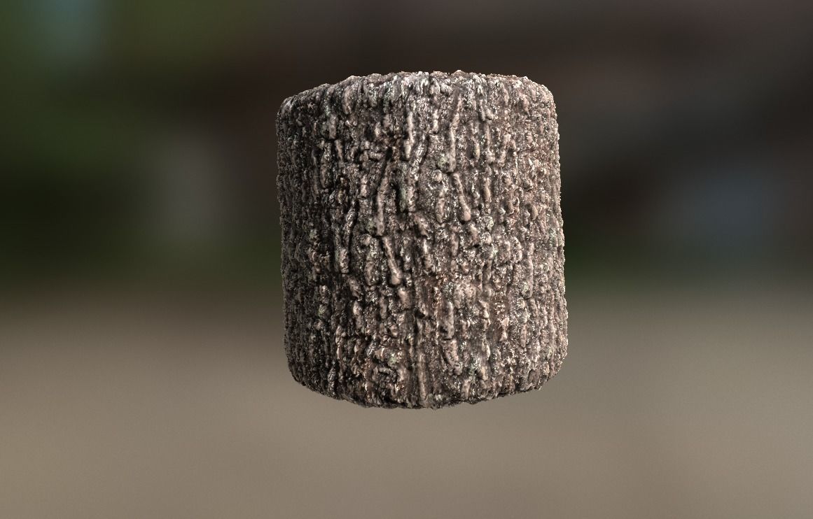 10 Seamless tree bark textures Texture_7