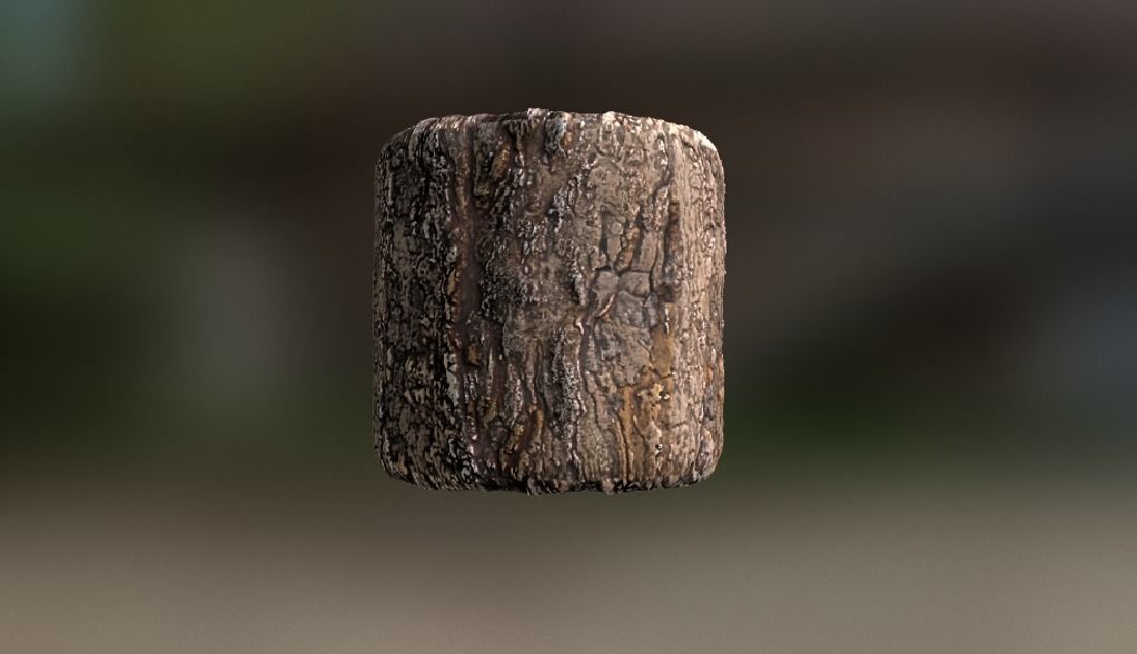 10 Seamless tree bark textures Texture_5