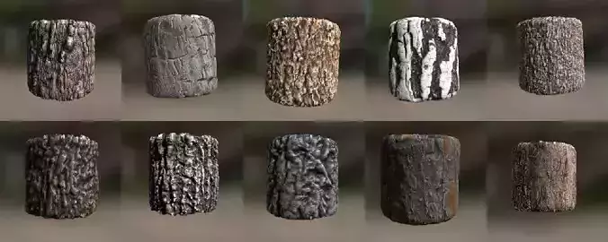 10 Seamless tree bark textures