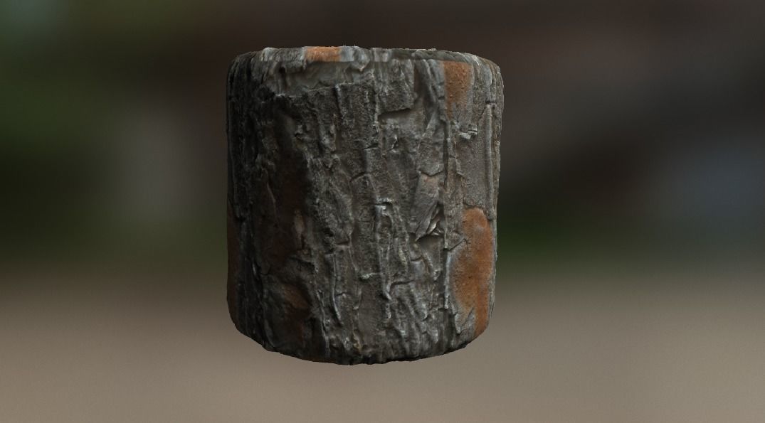 10 Seamless tree bark textures Texture_4