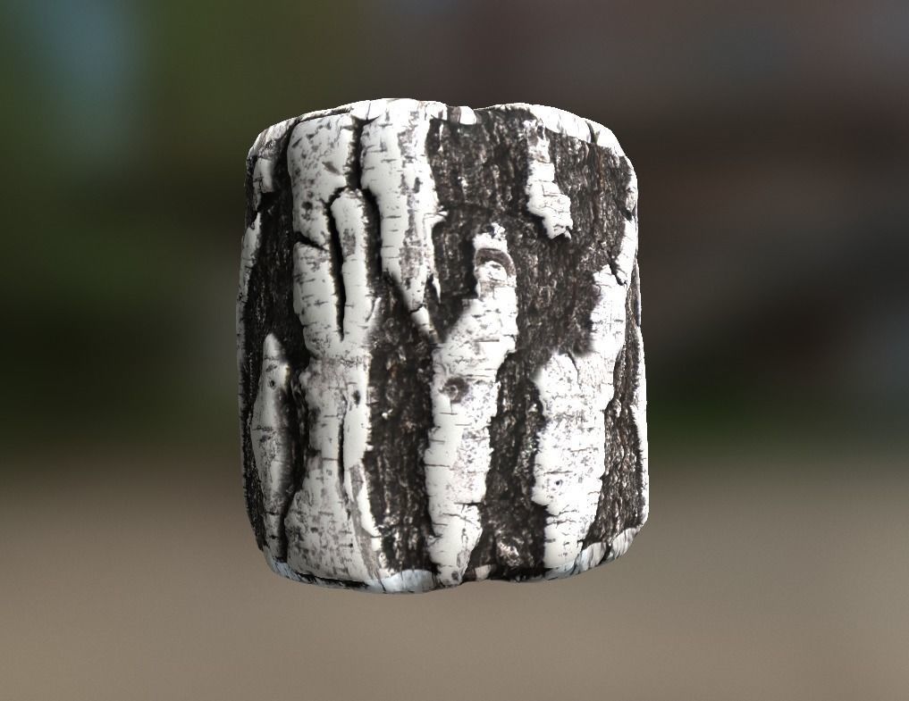 10 Seamless tree bark textures Texture_2