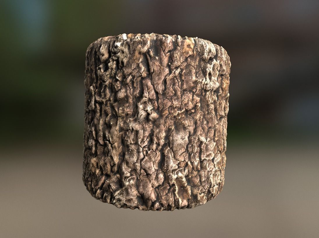 10 Seamless tree bark textures Texture_3