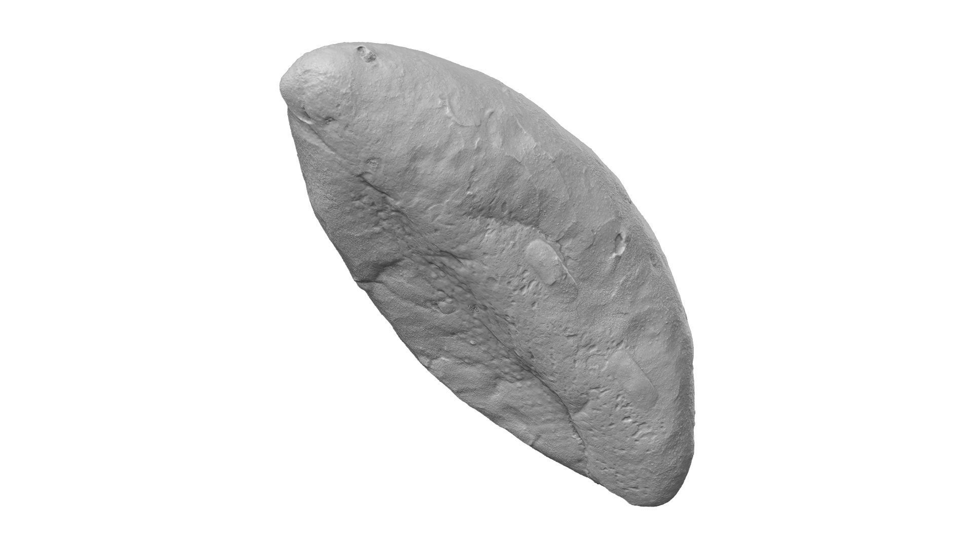 Rustic Sundried Tomato Bread - Extreme Definition Scanned 3D model_9