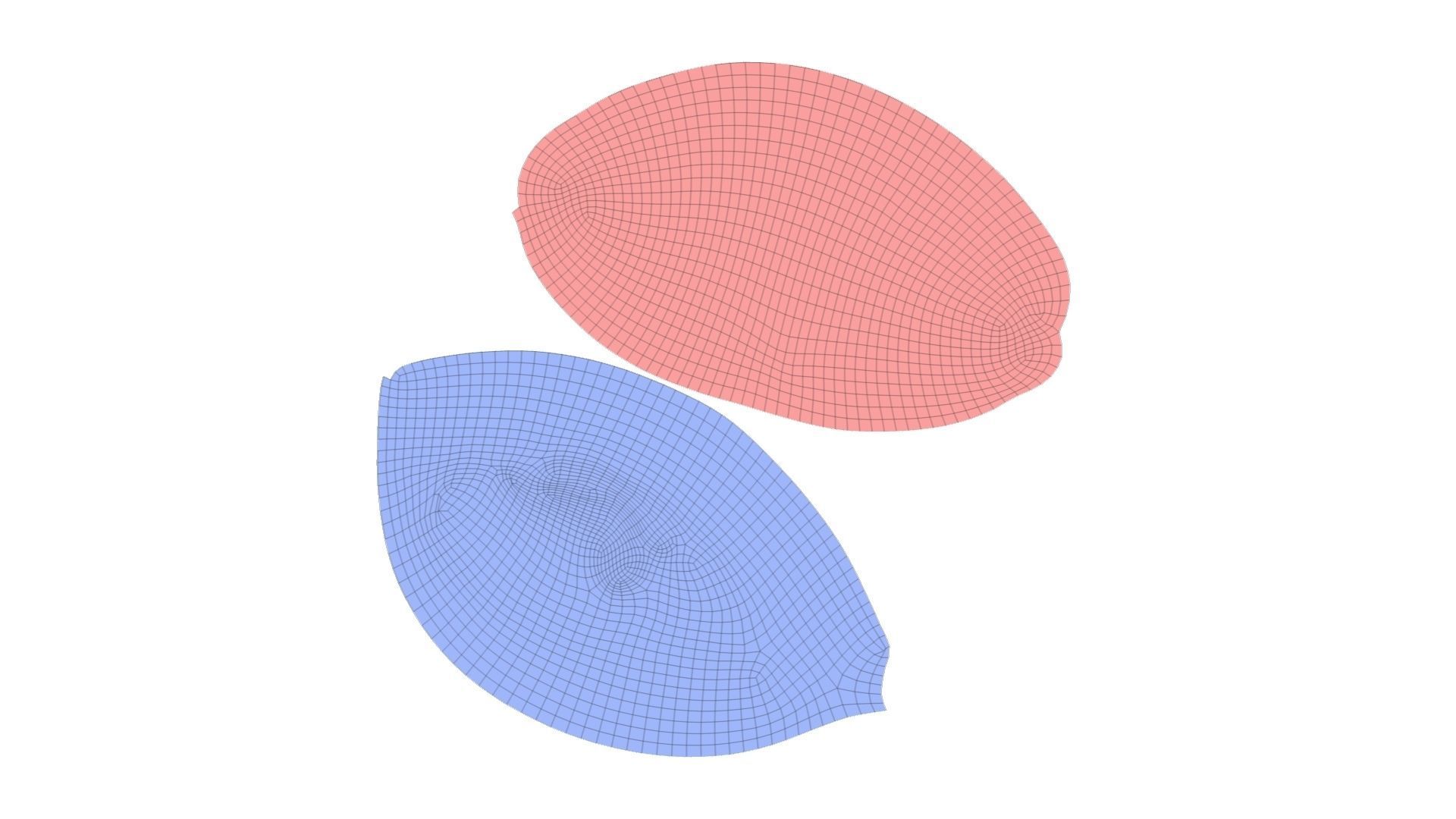 Rustic Sundried Tomato Bread - Extreme Definition Scanned 3D model_10