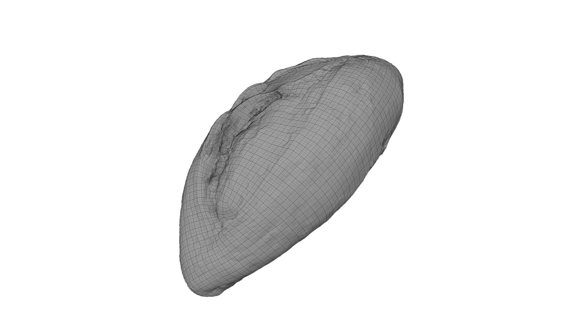 Rustic Sundried Tomato Bread - Extreme Definition Scanned 3D model_7