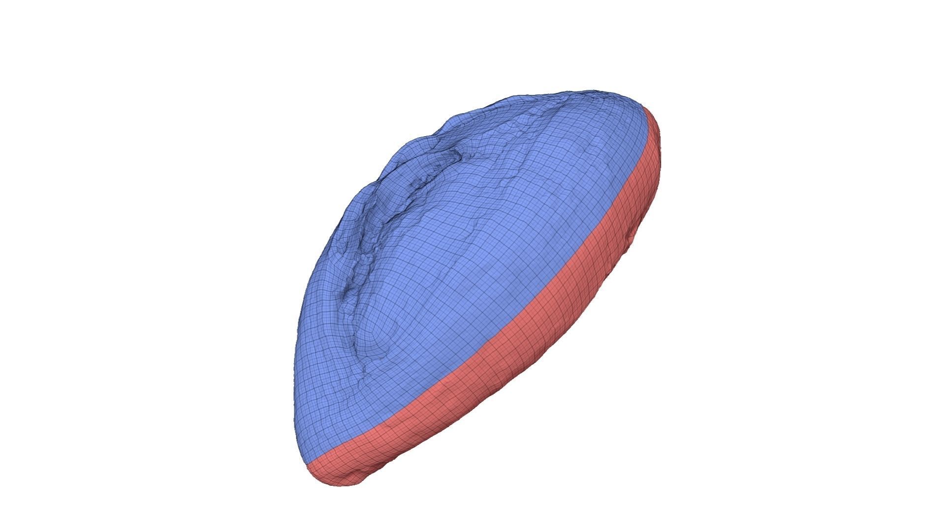 Rustic Sundried Tomato Bread - Extreme Definition Scanned 3D model_6