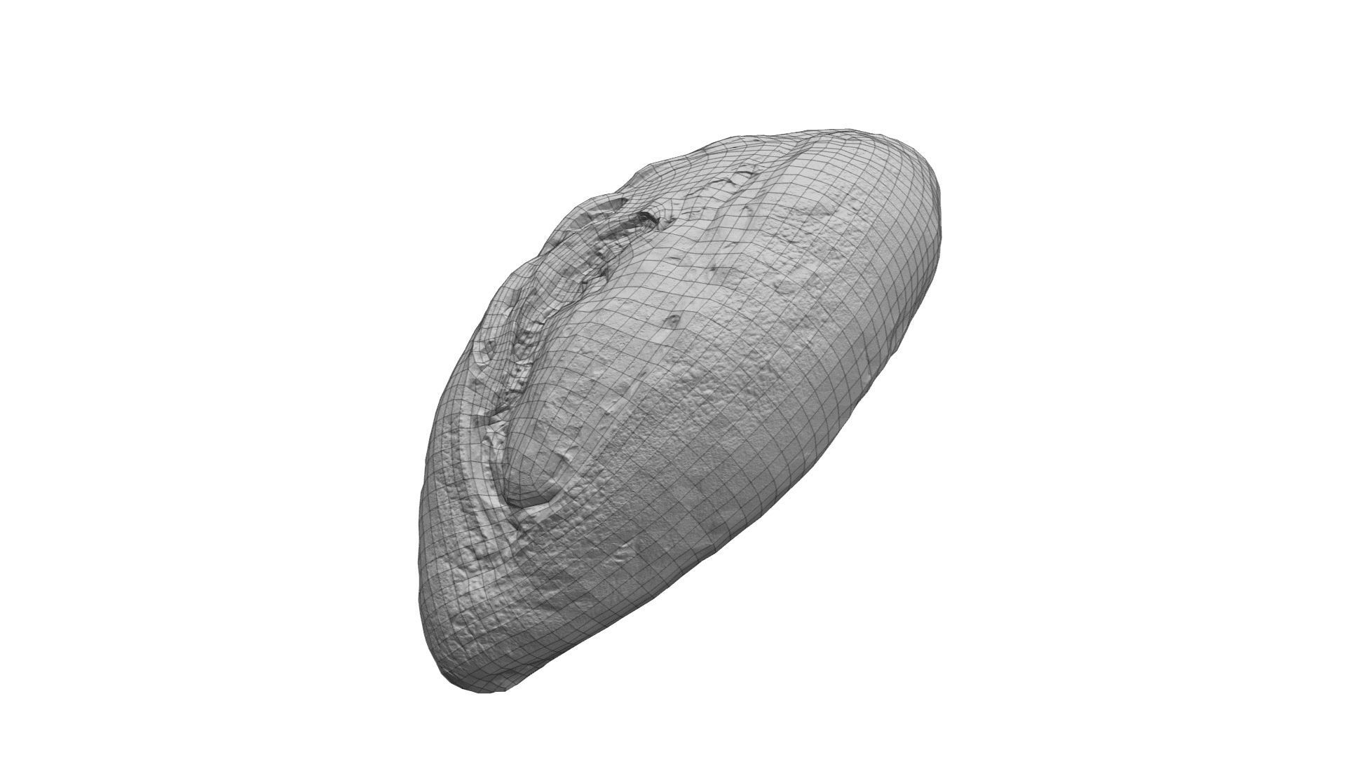 Rustic Sundried Tomato Bread - Real-Time Scanned Low-poly 3D model_3