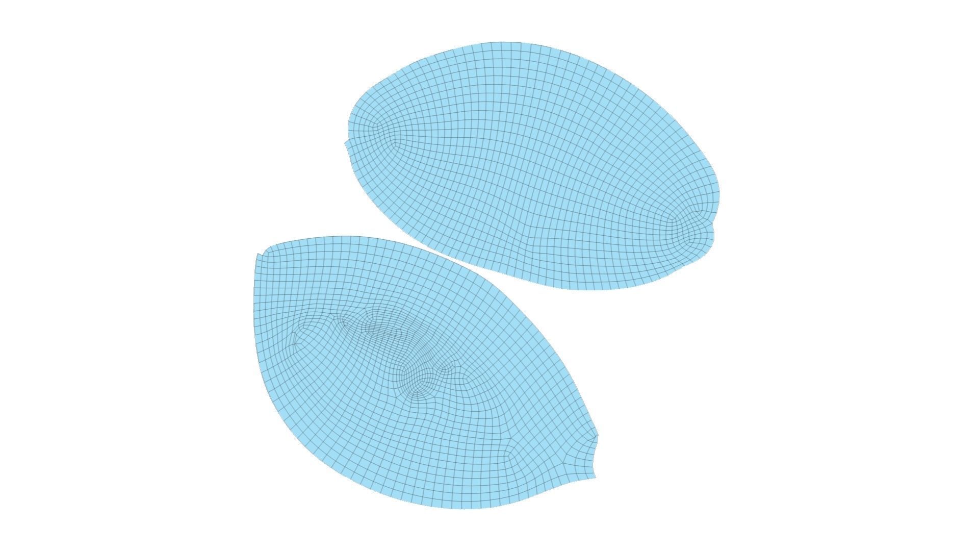 Rustic Sundried Tomato Bread - Real-Time Scanned Low-poly 3D model_7