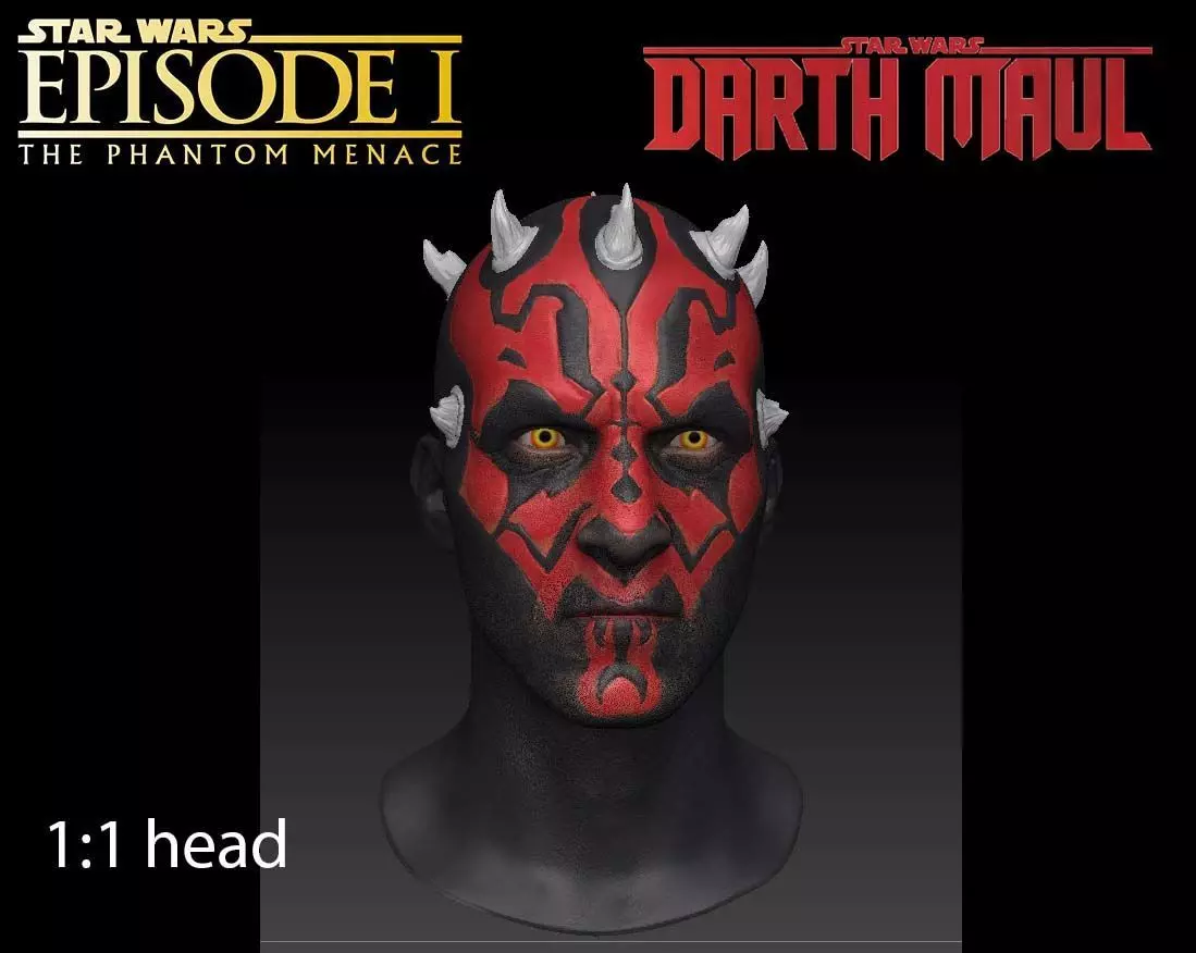 Darth Maul head full size for 3d print 3D model_0
