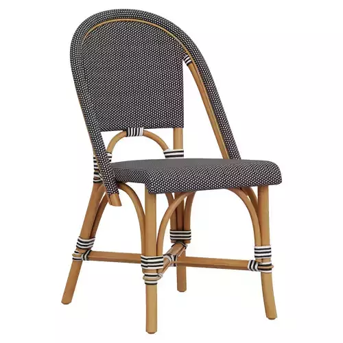 Restoration Hardware St Germain Resin Side Chair 3D model