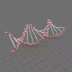 Strand of DNA Free 3D print model