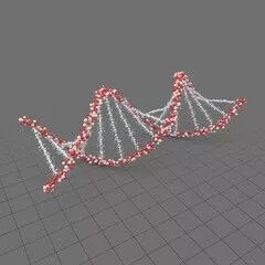Strand of DNA Free 3D print model