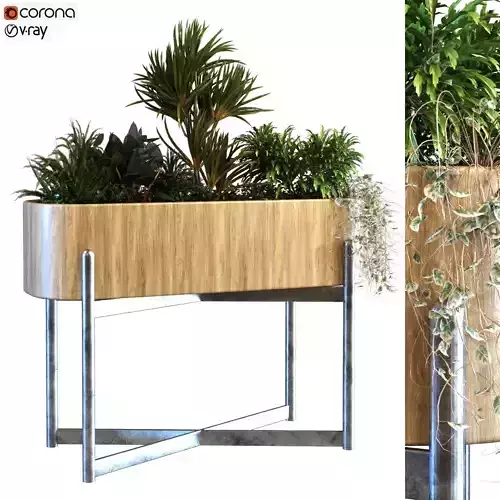 plant in box set 068