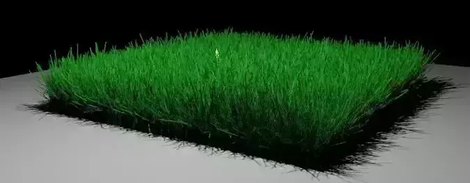 GRASS -