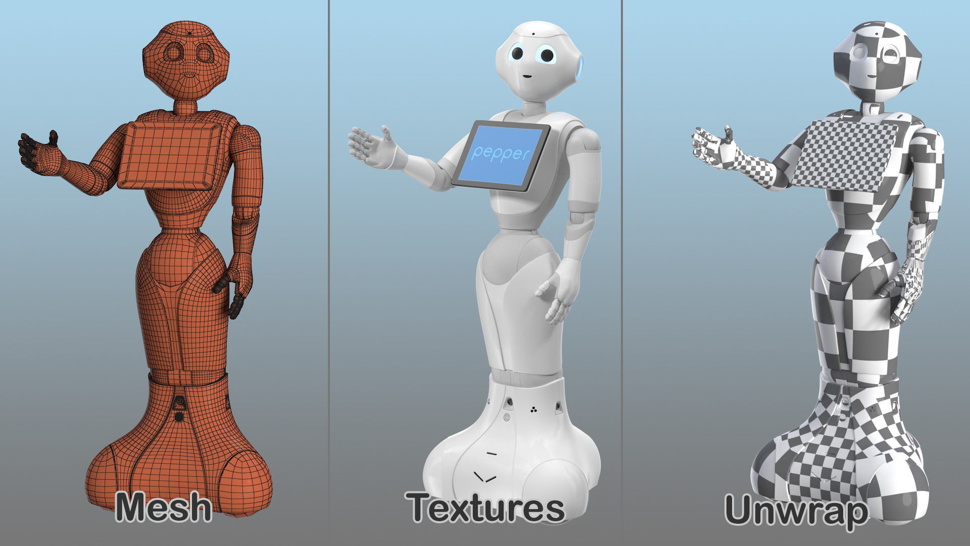 Information Display Pepper Robot 3D model_13