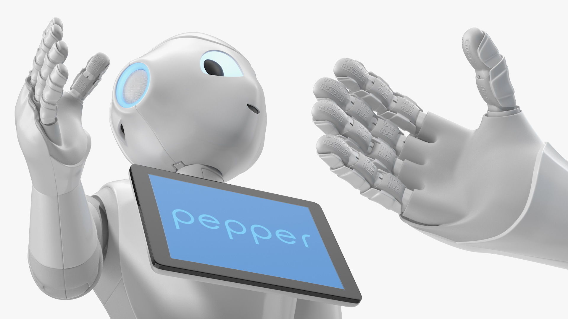 Information Display Pepper Robot 3D model_8