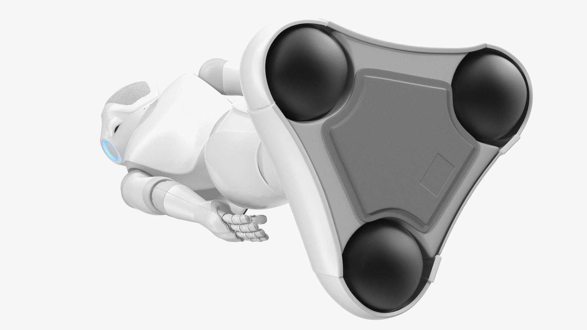 Information Display Pepper Robot 3D model_11