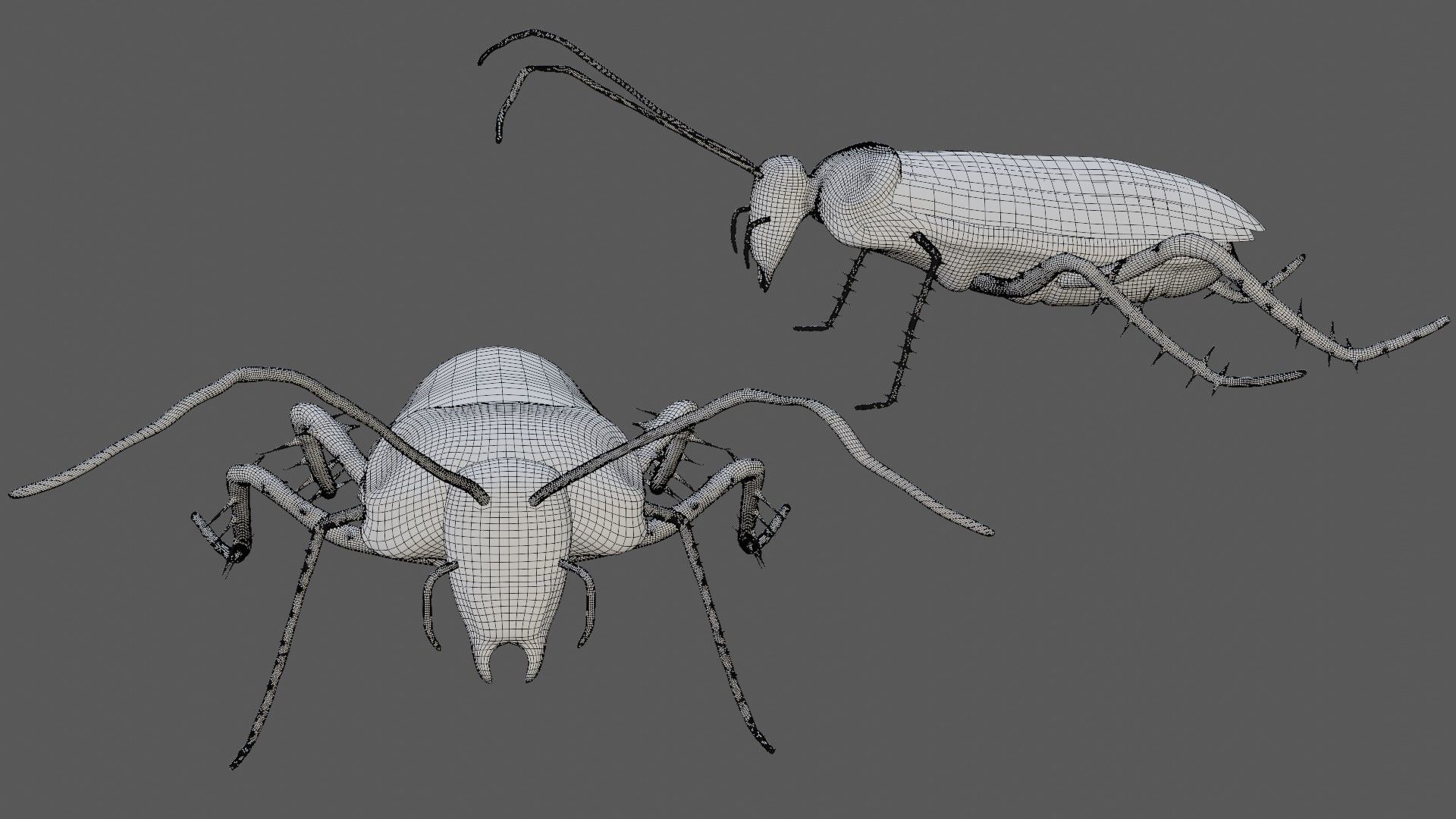 Cockroach Low-poly 3D model_7