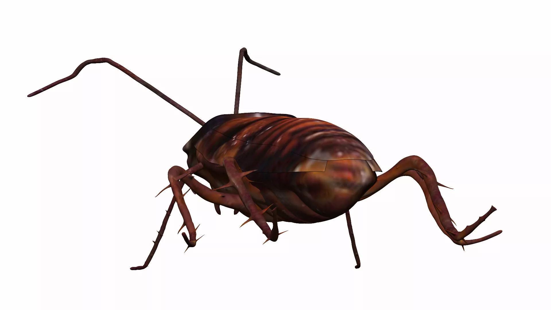 Cockroach Low-poly 3D model