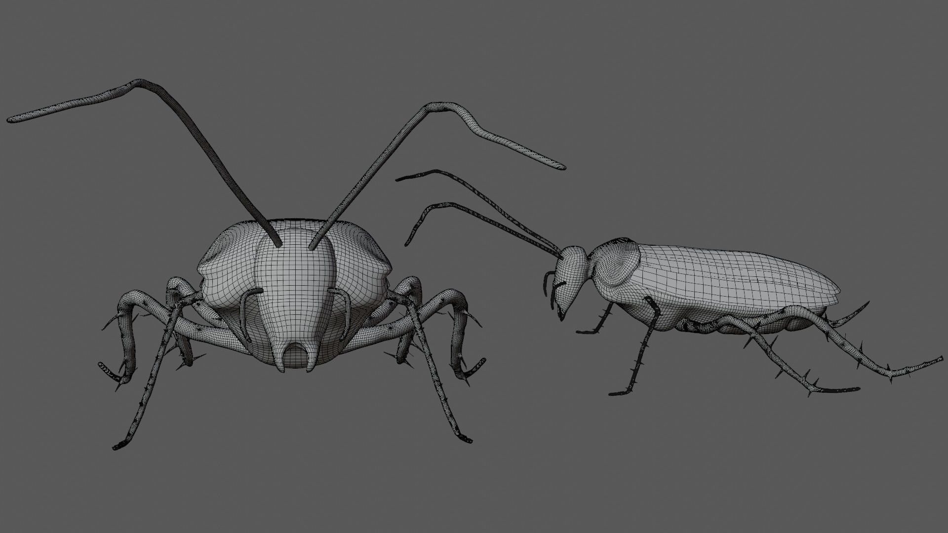 Home Cockroach Low-poly 3D model_7