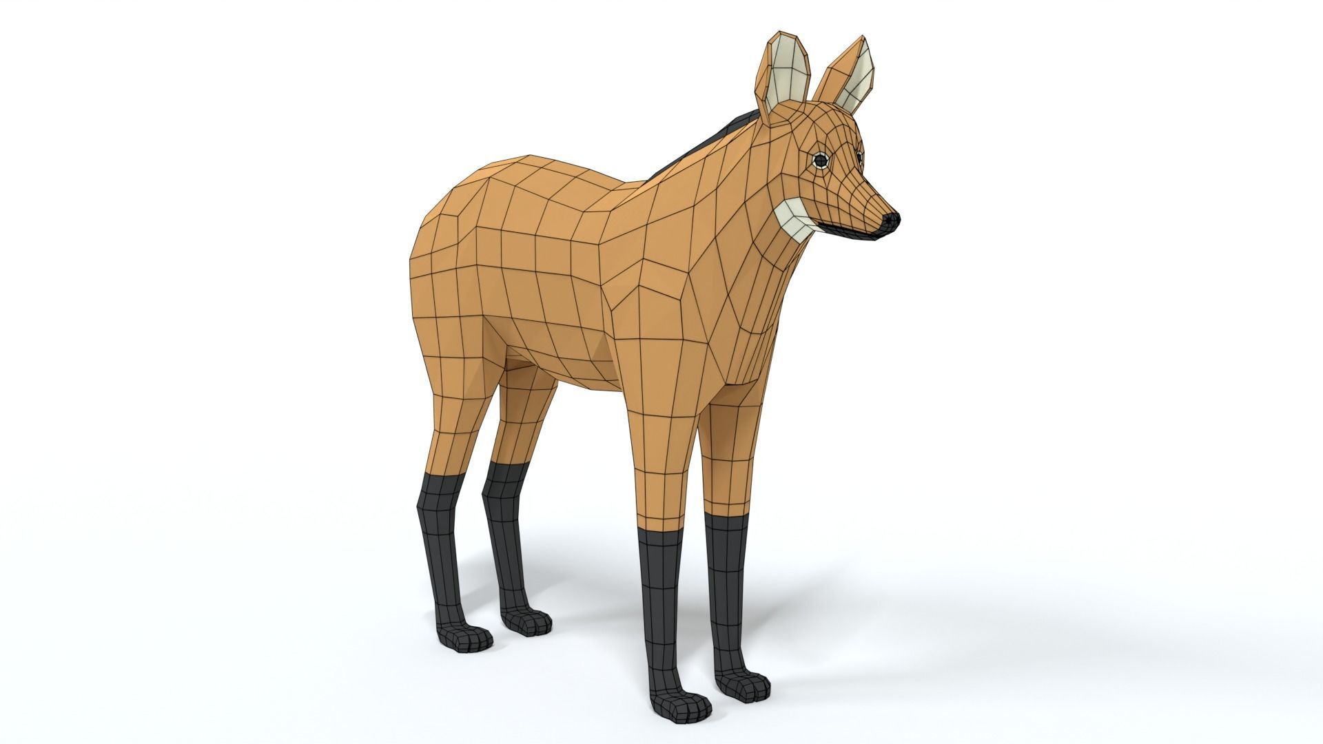 Low Poly Cartoon Maned Wolf Low-poly 3D model_15