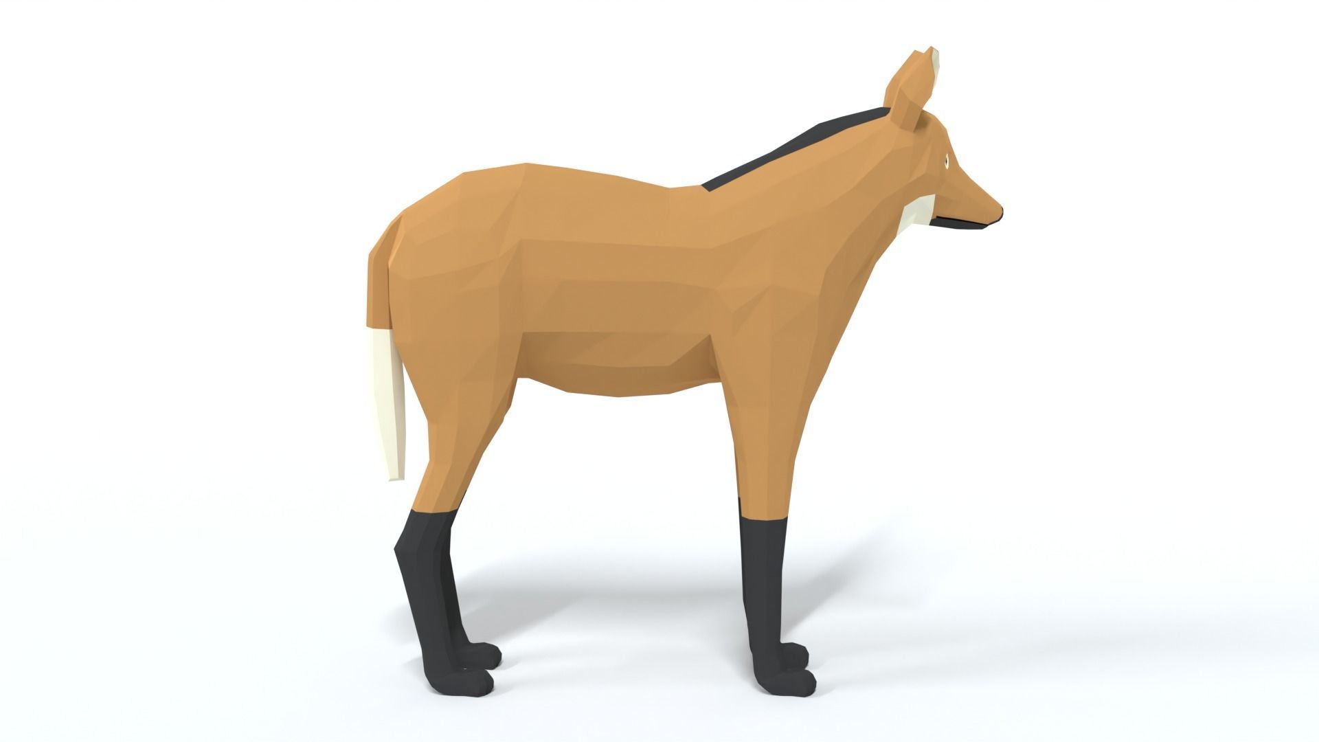 Low Poly Cartoon Maned Wolf Low-poly 3D model_5