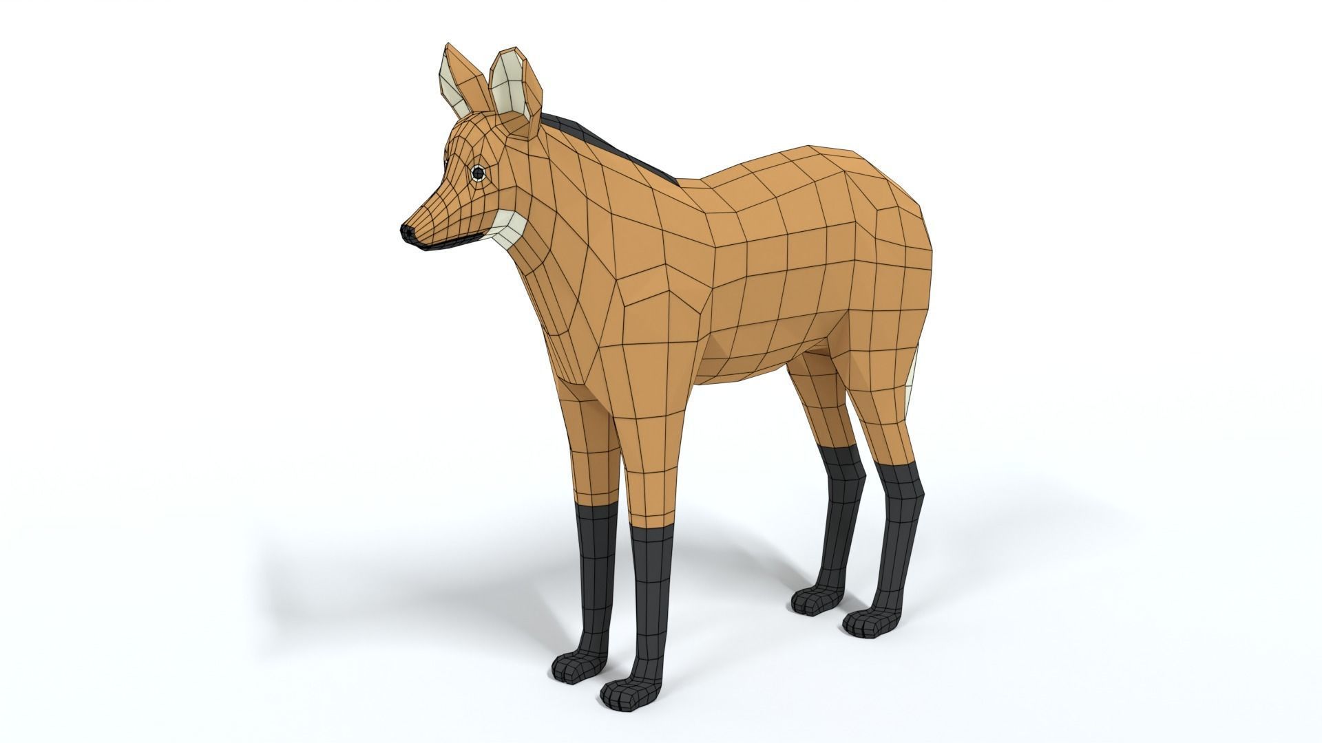 Low Poly Cartoon Maned Wolf Low-poly 3D model_9