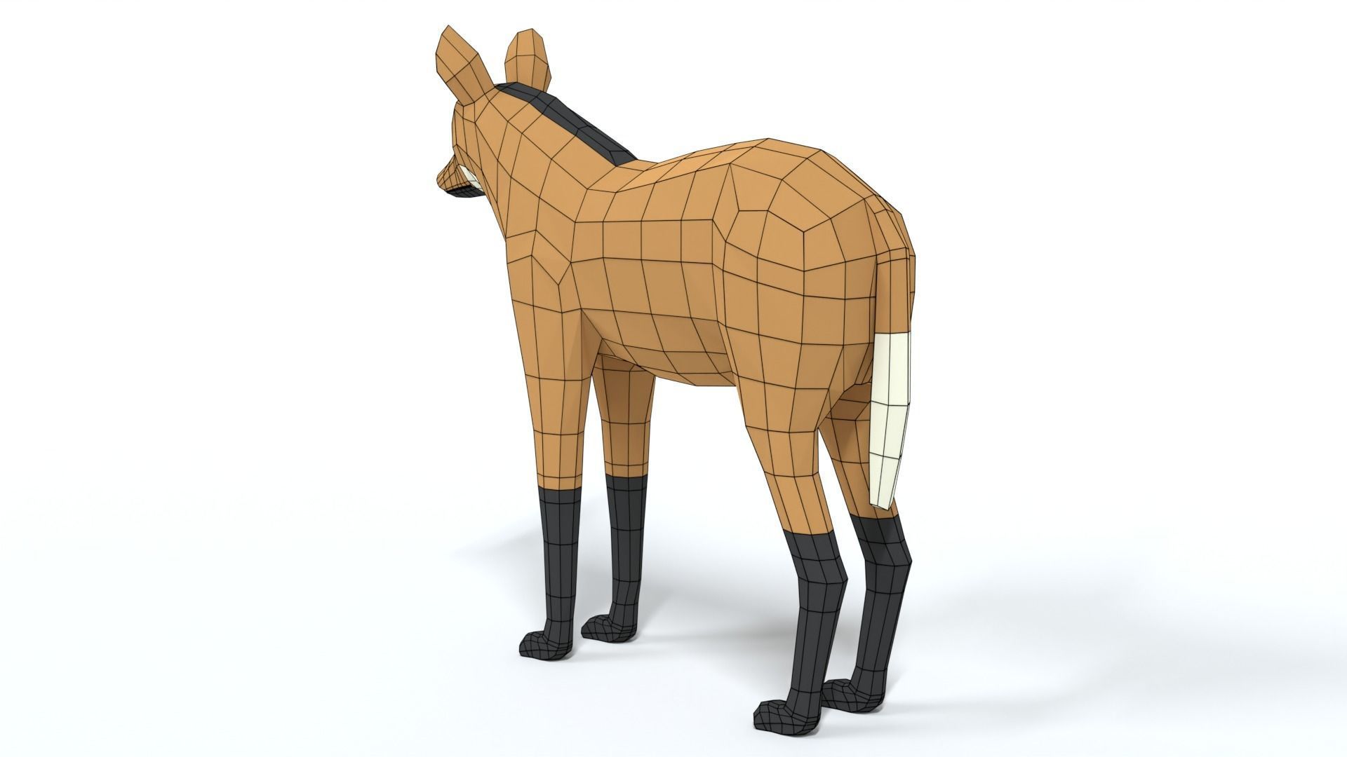Low Poly Cartoon Maned Wolf Low-poly 3D model_11