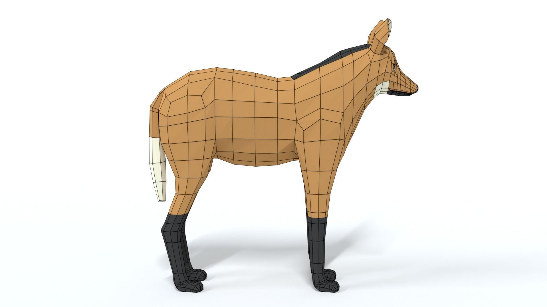 Low Poly Cartoon Maned Wolf Low-poly 3D model_14