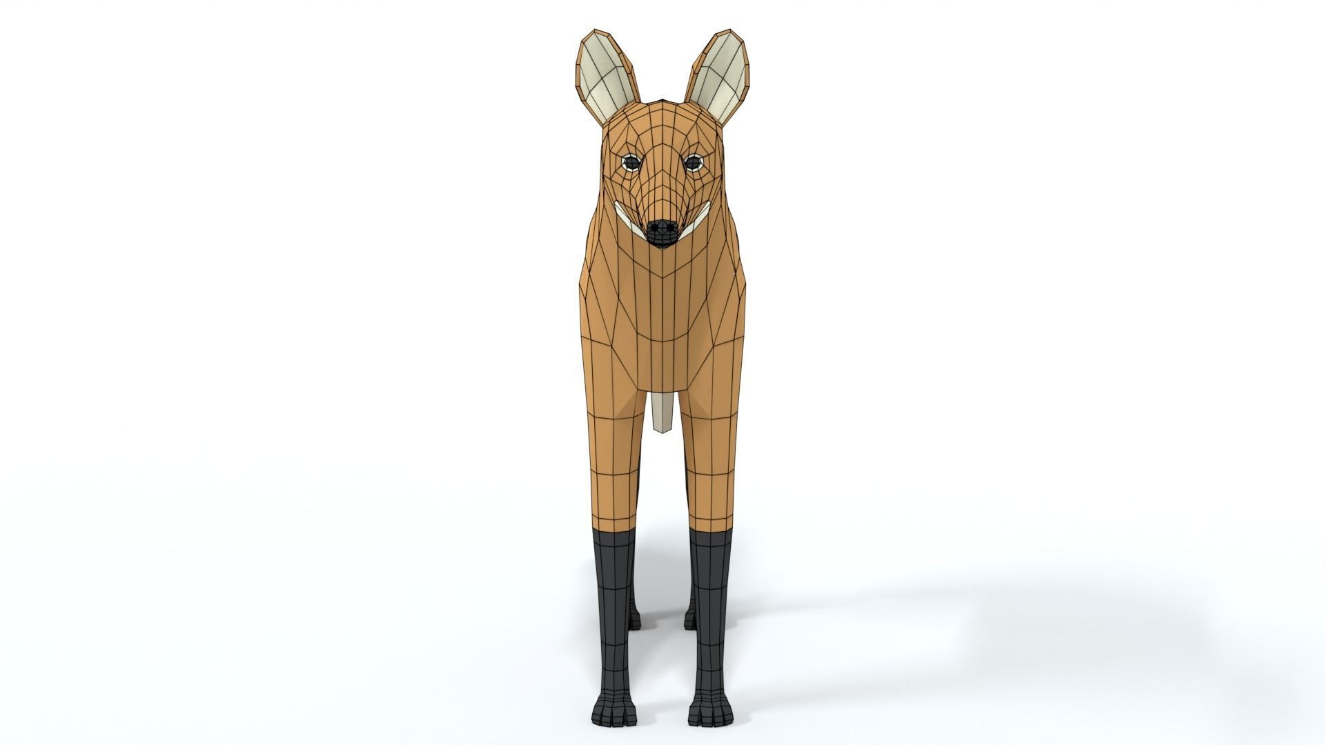 Low Poly Cartoon Maned Wolf Low-poly 3D model_16