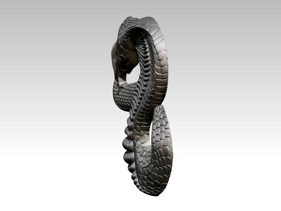 Snake Relief 3D print model_2
