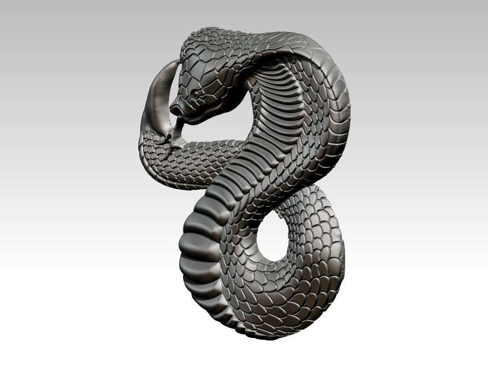 Snake Relief 3D print model_1