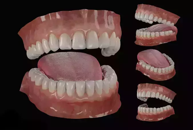 Teeth set of