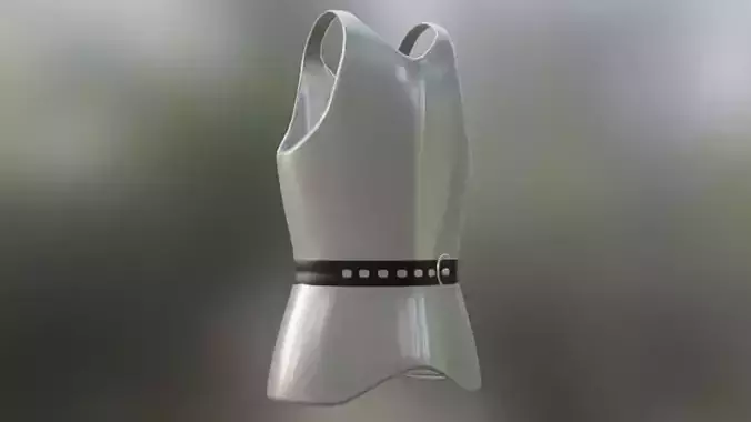 Armor-Hp vest with belt