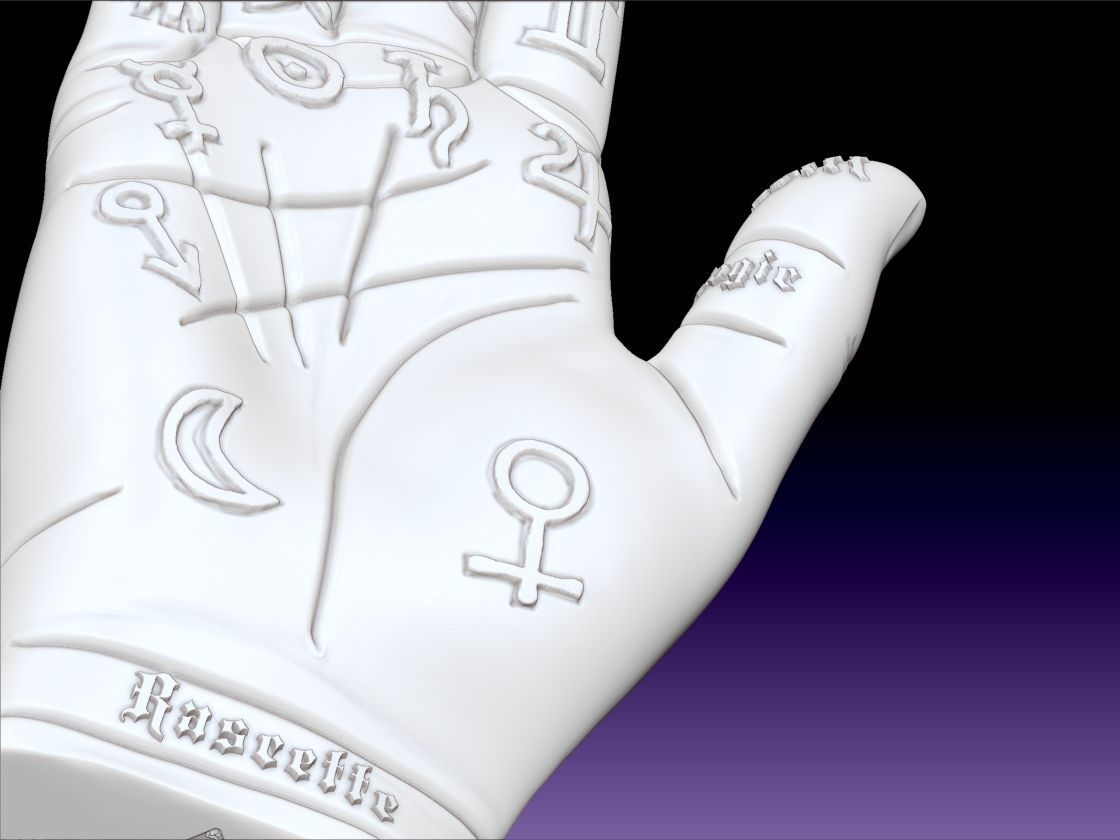 Palm Reading Hand 3D print model_11