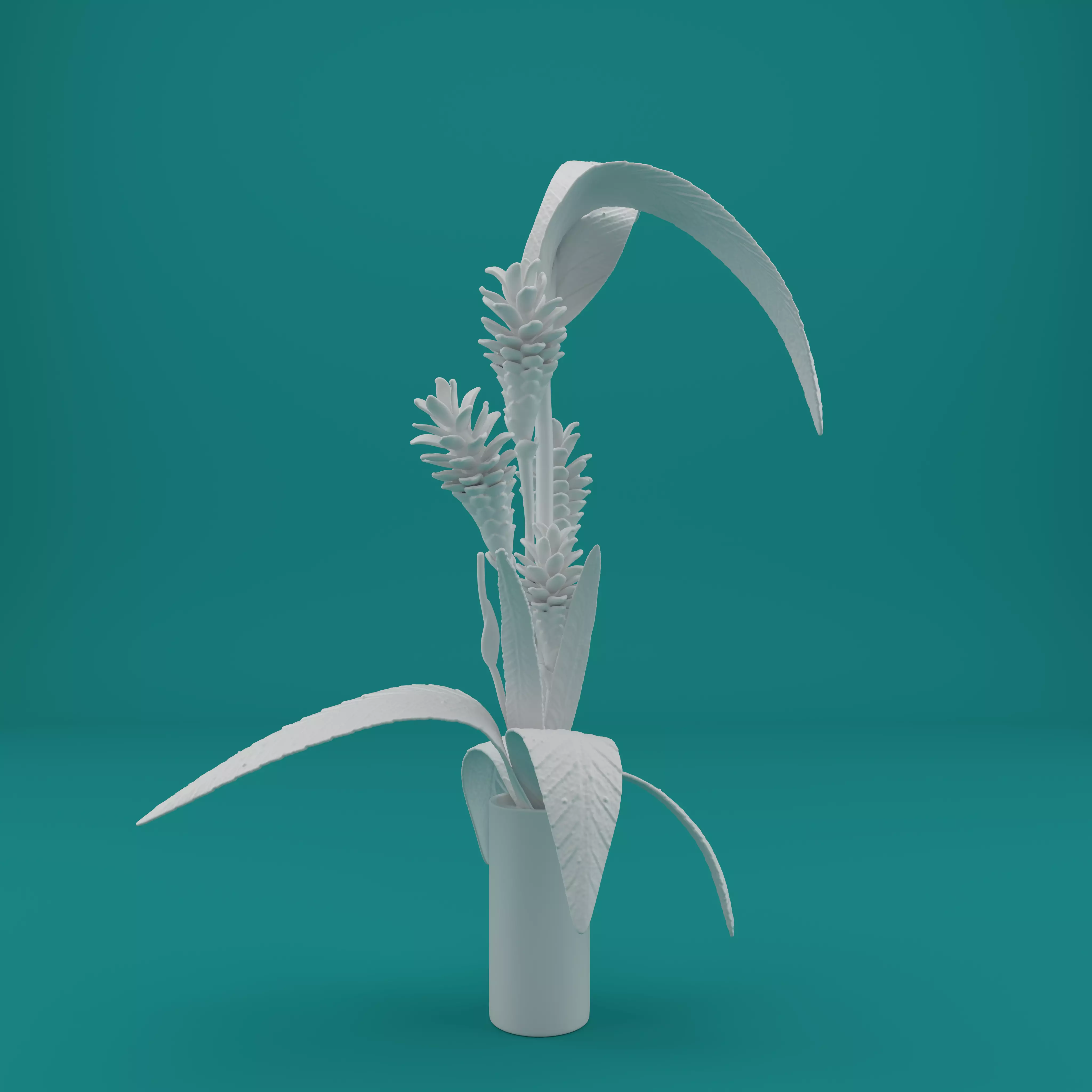 Ginger Plant Model for 3D Printing 3D print model_1