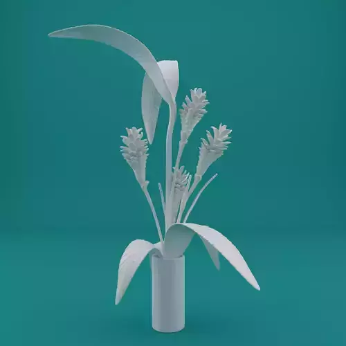 Ginger Plant Model for 3D Printing