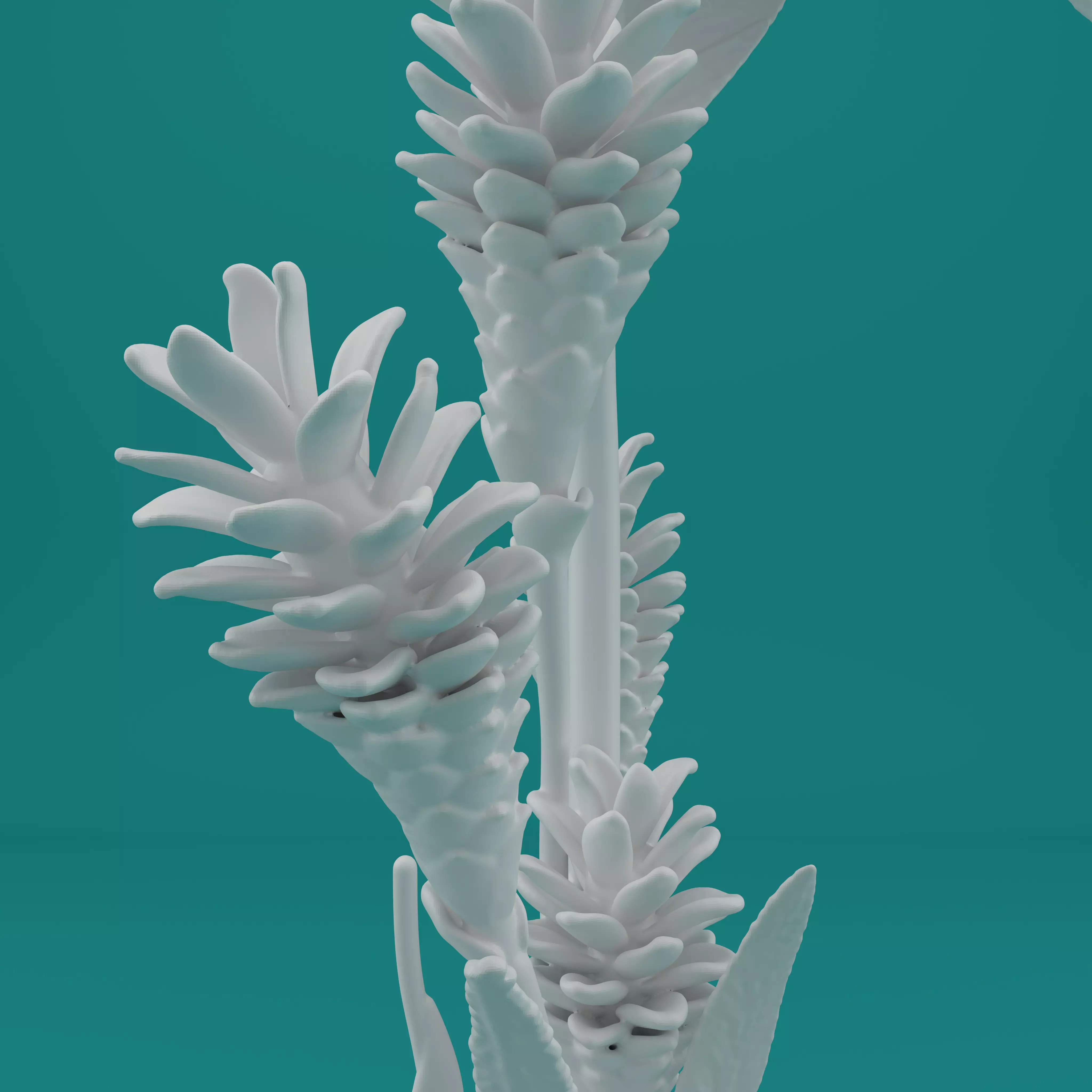 Ginger Plant Model for 3D Printing 3D print model_3