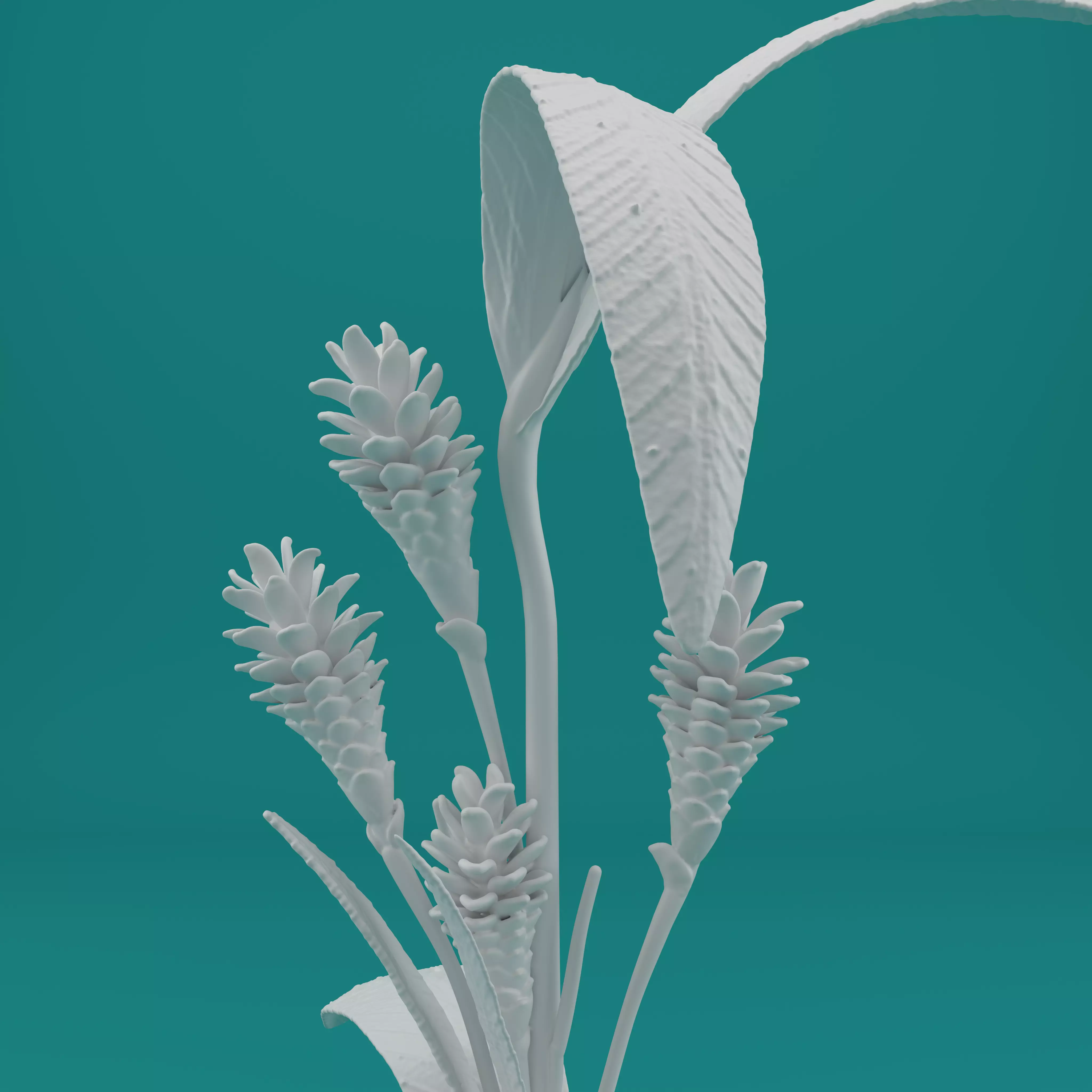 Ginger Plant Model for 3D Printing 3D print model_2