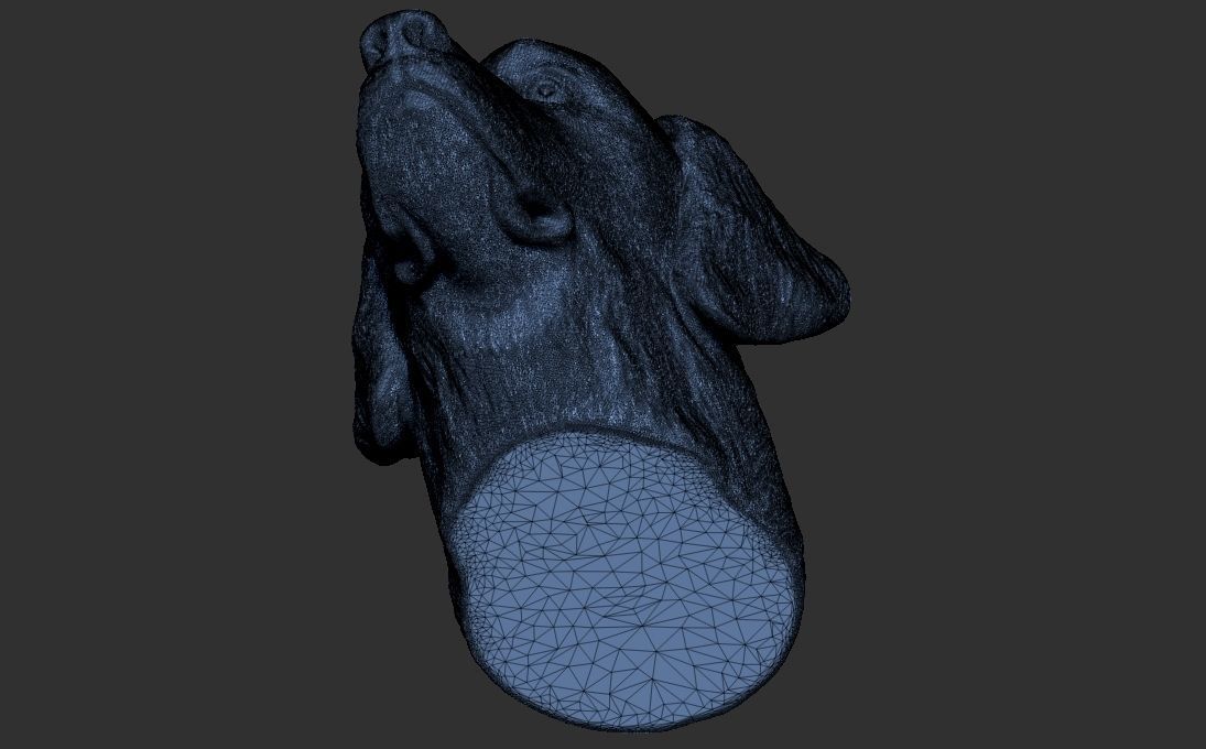 Golden Retriever head for 3D printing 3D print model_24