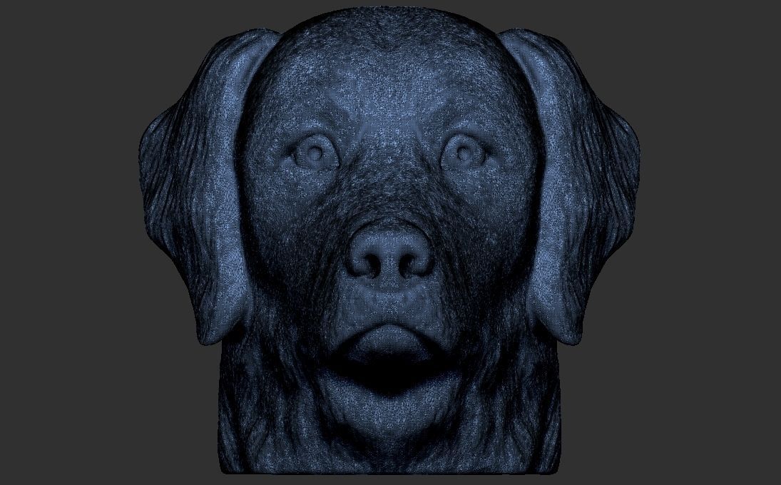 Golden Retriever head for 3D printing 3D print model_22