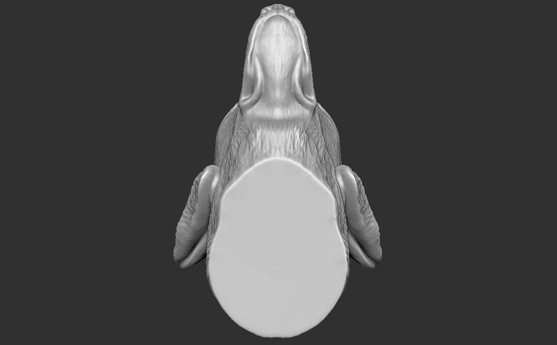 Golden Retriever head for 3D printing 3D print model_20