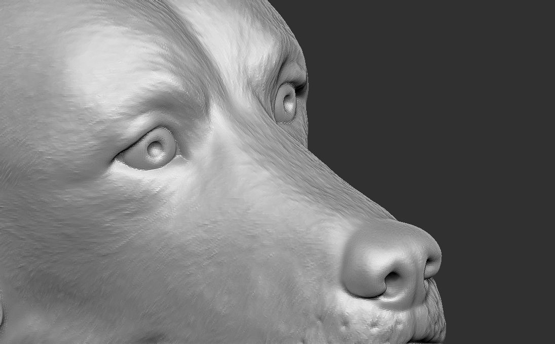 Golden Retriever head for 3D printing 3D print model_16