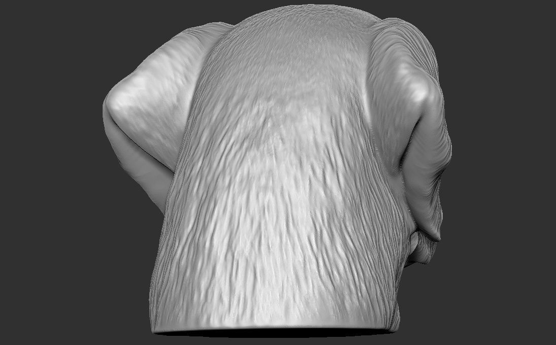 Golden Retriever head for 3D printing 3D print model_7