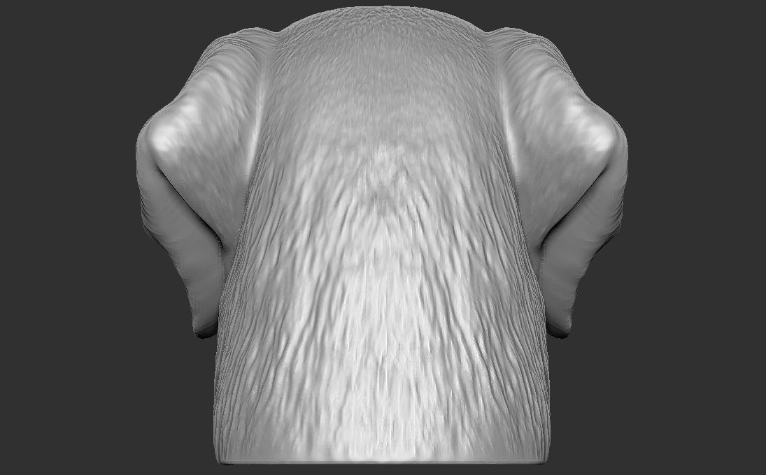 Golden Retriever head for 3D printing 3D print model_8